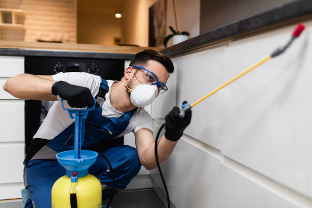Best Wasp Removal Services  in Independence, VA