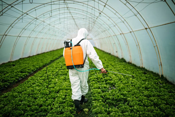 Best Pest Inspection Near Me  in Independence, VA
