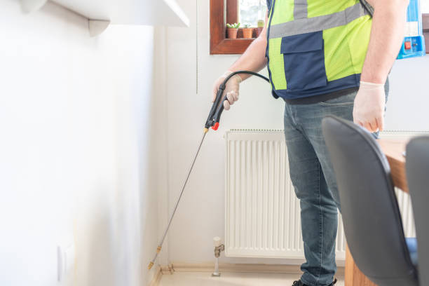 Best Termite Control Services  in Independence, VA